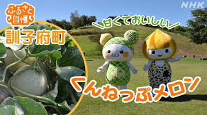 ふるさと自慢】 訓子府町「甘くておいしい くんねっぷメロン ...