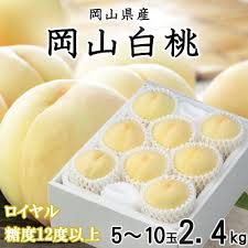 岡山白桃 ロイヤル 5～10玉 2.4kg 岡山県産 | 岡山県浅口市 ...