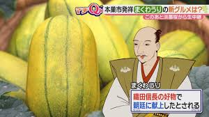 織田信長も好んだ？岐阜県本巣市発祥「まくわうり」をツルっと ...