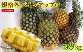 沖縄県東村の【先行予約開始！】東村産パインアップル ...