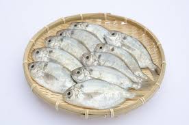 おおいたの産品「イボダイ 」のご紹介｜The・おおいた