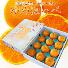 楽天市場】ゆめほっぺ （ せとみ ）赤秀品L-2Lサイズ 約3kg 山口 ...