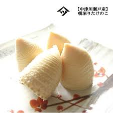 中津川瀬戸のたけのこ | 栗菓子処 やまつ オンラインショップ