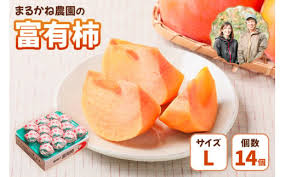 富有柿贈答用Lサイズ14個入り [1380] | まるかね農園 かき 富有 ...