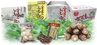 商品紹介 | 山野さといも組合