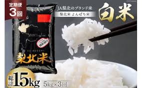 定期便】【3回 米 定期便 】 梨北米 農林48号 5kg×3回 総計15kg ...