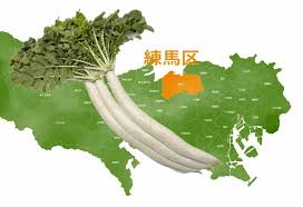 幻の「練馬大根」とは？ 伝統野菜の復活をめざす、東京都練馬区 ...