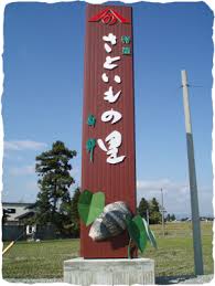 山野のさといも | 山野さといも組合