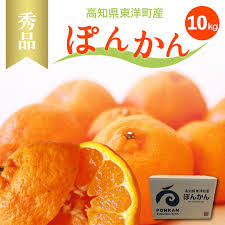 高知県東洋町産ぽんかん5?sご家庭用