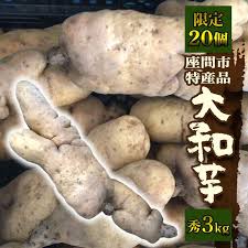 楽天市場】【ふるさと納税】座間市特産品 大和芋 秀 3kg｜贈答品 ...