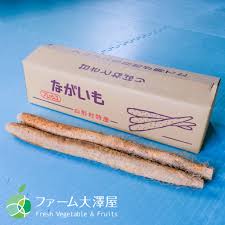 山形村産ながいも 長芋 やまいも 2-3L 約3Kg 長野県 ギフト ...
