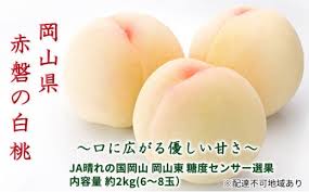 桃 2024年 先行予約 赤磐の 白桃 約2.0kg 6～8玉 JA晴れの国 ...
