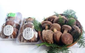 京都府知事賞9回受賞の生産農家直送 原木生しいたけ（2L特上品 ...