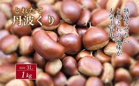 とれたて 丹波くり 3L 1kg（京都 京丹波町産）【 大粒 和栗 生栗 ...