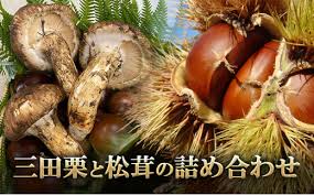 ふるさと納税】 三田栗 2L (1kg) 三田 松茸 (等級混合約200g) の ...