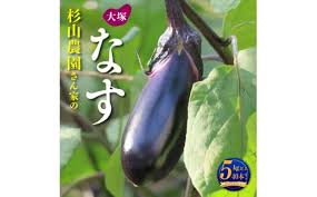 大塚なす 2Lサイズ 5kg(40本) 杉山農園[5839-1916] - 山梨県市川 ...