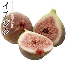 イチジク | はれフル ｜ JA晴れの国岡山