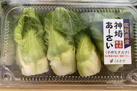 佐賀県産 神埼あーさい 100g×10パック: さが風土館 季楽|【JA ...