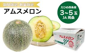 アムスメロン （JA周桑） 3～5玉入り 期間限定 数量限定 2024年6 ...
