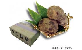 つくね芋 約2kg ／ 井上天極堂 野菜 いも 大和芋 タンパク質 ...