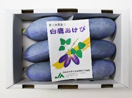 生産者の取組ファイル-山形 おきたま食の応援団