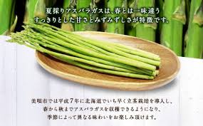 先行予約】【夏アスパラ】美唄産グリーンアスパラガス雪蔵美人 L ...
