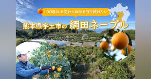 100年以上変わらぬ味を守り続けたい 熊本県宇土市の網田ネーブル ...